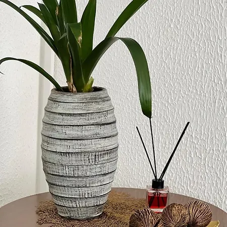 Hotel Tea Deluxe - Praia a Mare