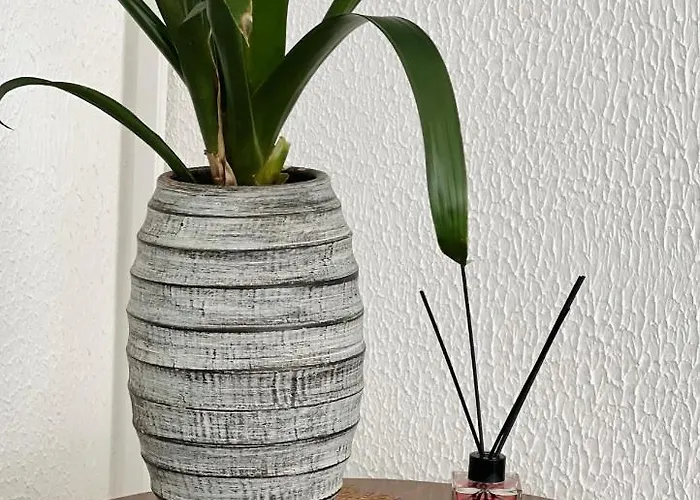 酒店 Tea Deluxe - 普拉亚·阿马勒